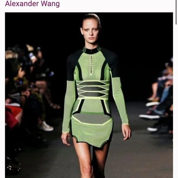 Alexander Wang | Dresses | Alexander Wang Thunderbolt 2tone Mesh Dress |  Poshmark